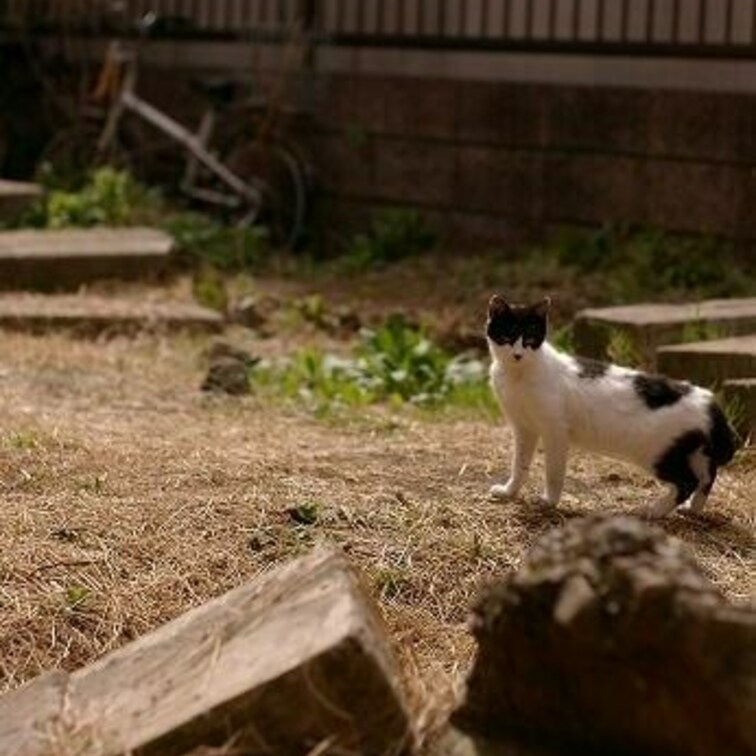 普門館のバス駐車場