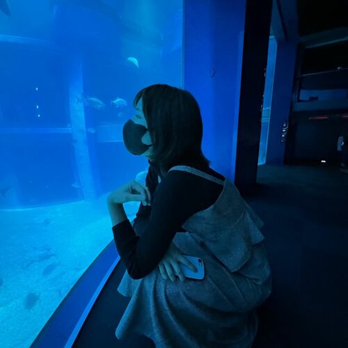 柚子