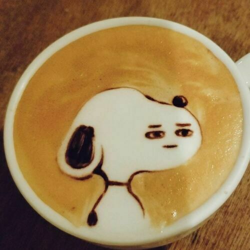 すぬ🐥