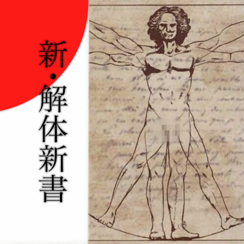 新・解体新書