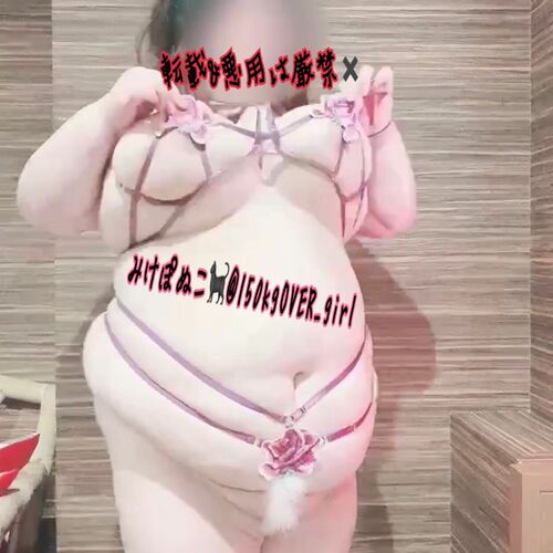 みけぽぬこ🐈‍⬛