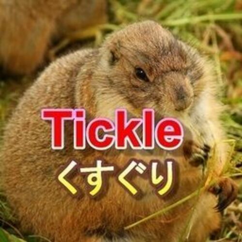 たまごっちょ25@くすぐりtickle