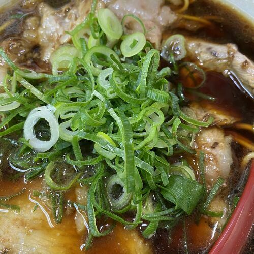 まぁらいおん