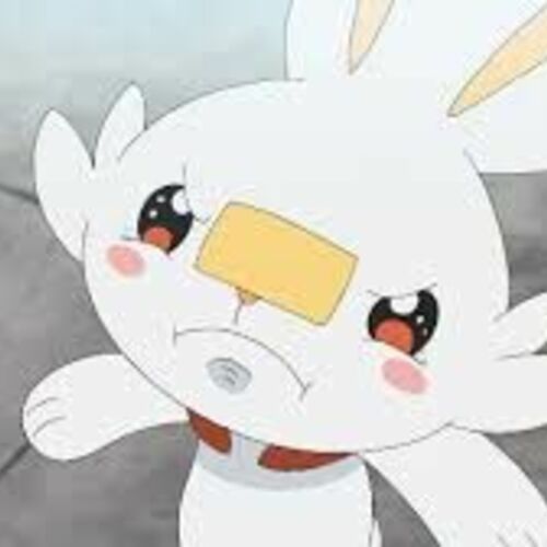 ちもちー🐰❕