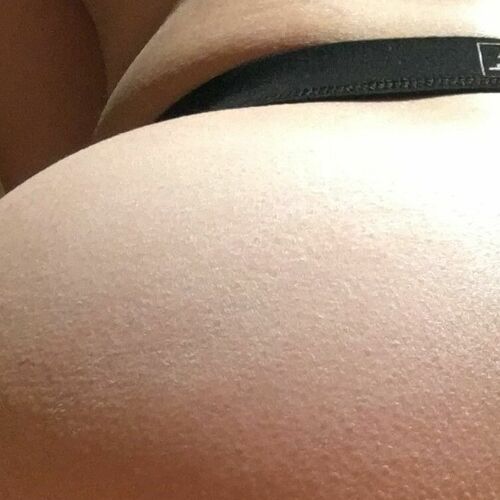 種壺肉便器