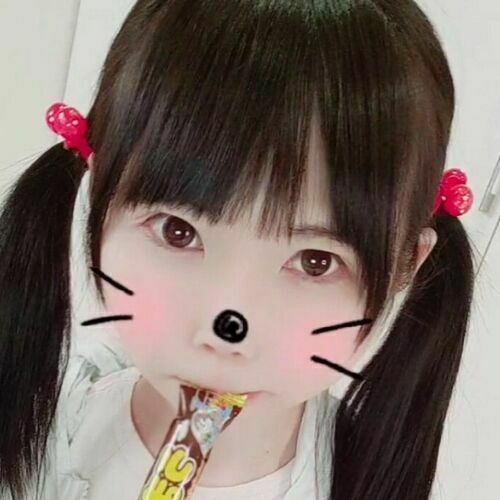 りかの秘密基地🐤
