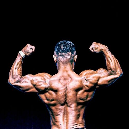 muscle