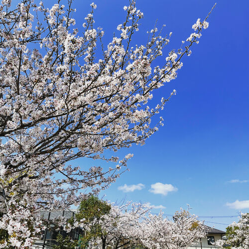 ももとパインの休憩所