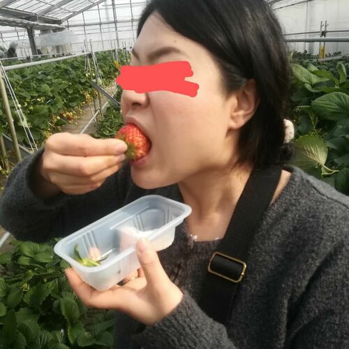 けいご