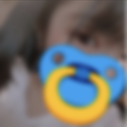 ご主人様とペット