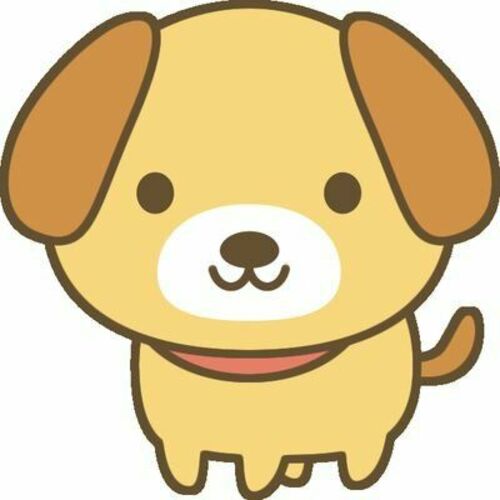 ぴょんの部屋