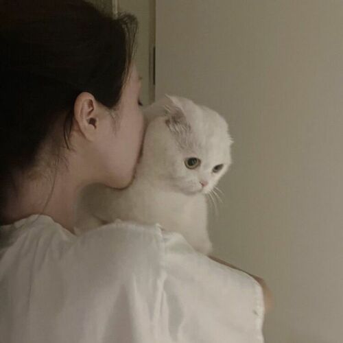 りえる