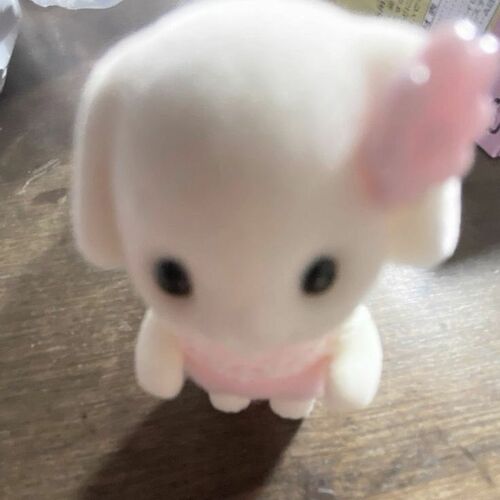 もも