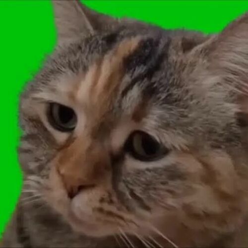 凛