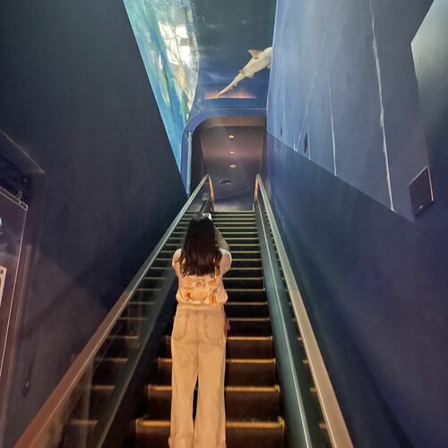 妻とのHな日常