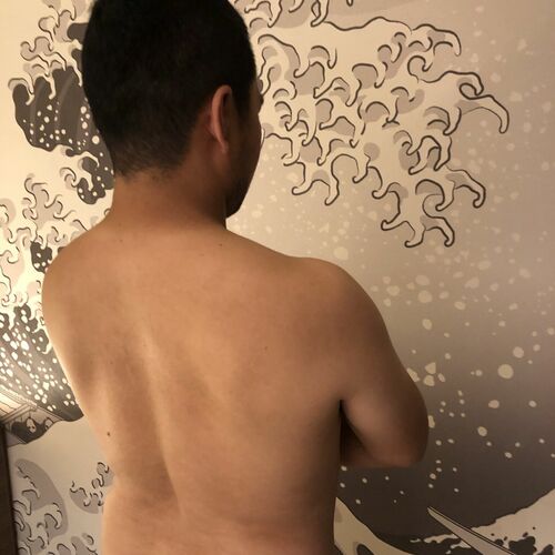 柴寅(shibatora)