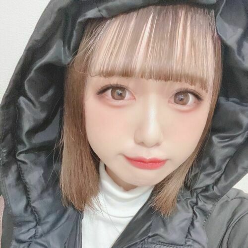 猫猫