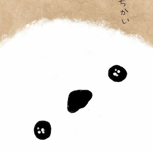 カムイ🔖