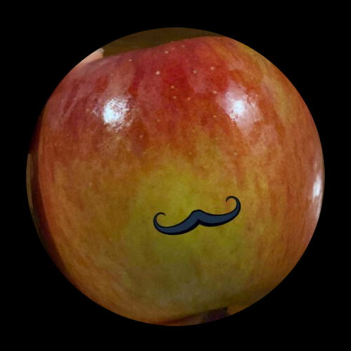ringo