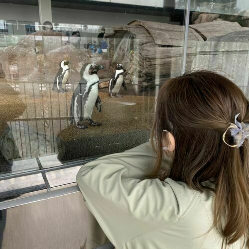 パンダ先輩🐼