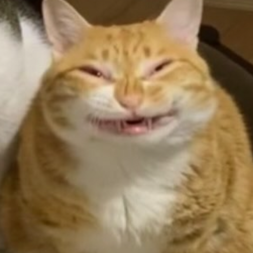 パッパグバーガー