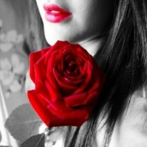 もえ🌹