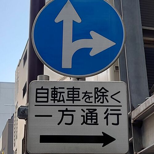 とある性愛の電動小芥子
