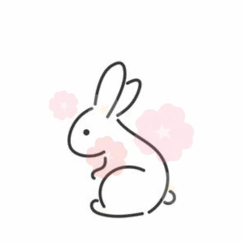 うさ🐰