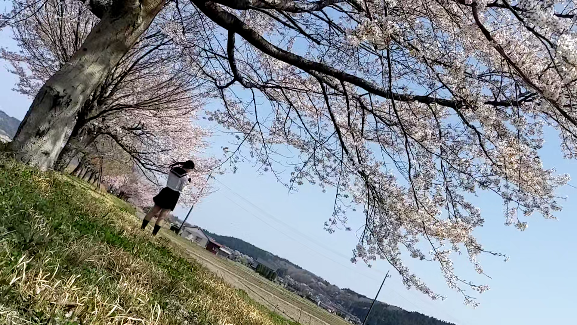 my&take@ふたりの変態日記のヘッダー