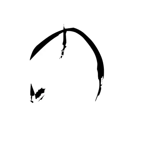 黒柴 和華