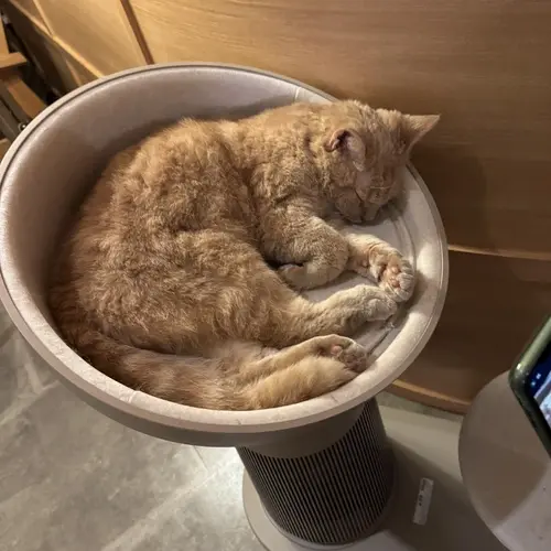 えー