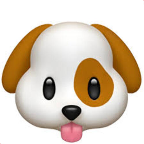 ポチ