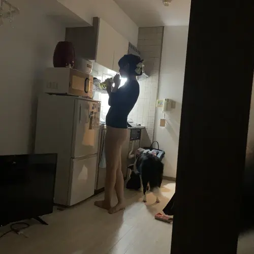 さば缶