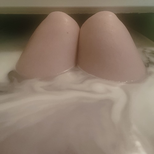 ムチムチの木