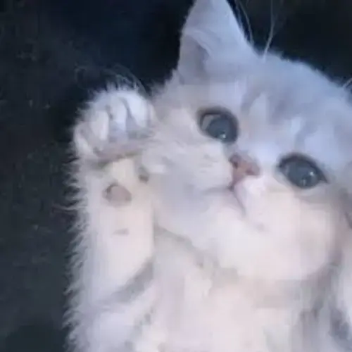 うゆ
