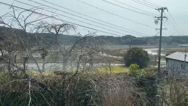 【 ひなまつり 〜🍓いちご狩り🍓〜...