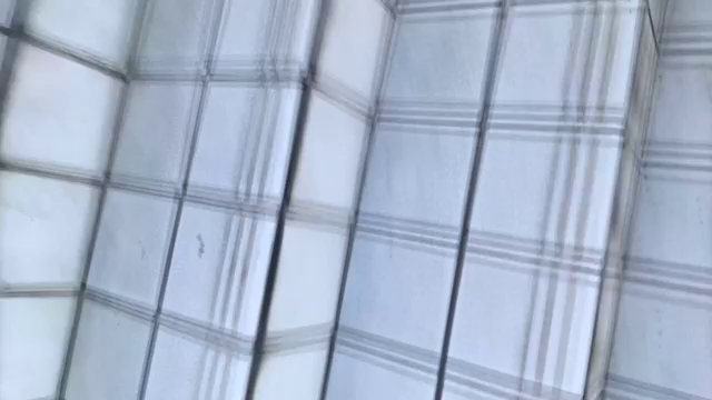 めいちゃんと踏み踏み遊び１今回は大...