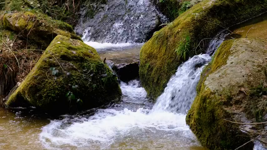 kawa