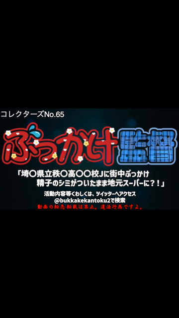コレクターズNo.65