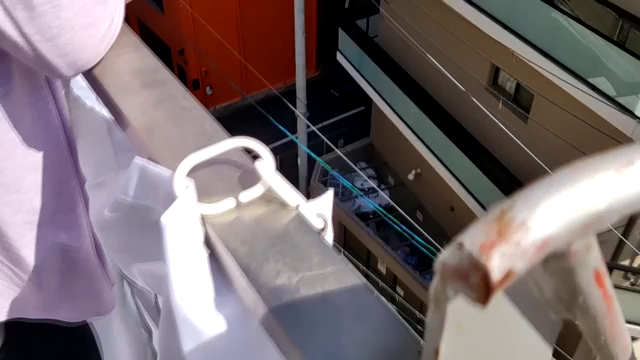 ベランダで景色を見ているさなちゃん...