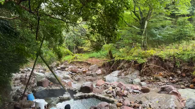 先日へびん湯に行ってきました。かな...