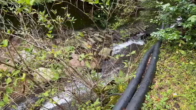 大分　筋湯温泉　せんしゃく湯数ある...
