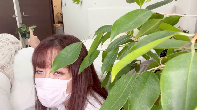 駅前まで買い出しに行ってる間、4台...