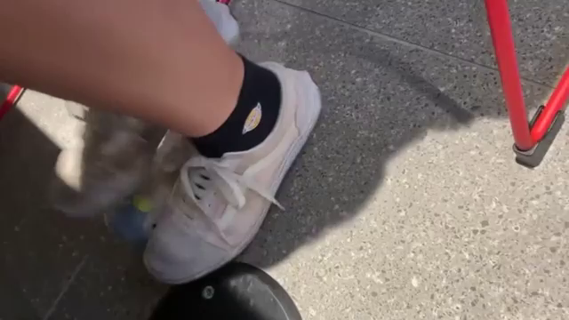 踏み潰しCRUSHのある風景VOL...